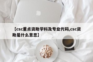 【csc重点资助学科及专业代码,csc资助是什么意思】